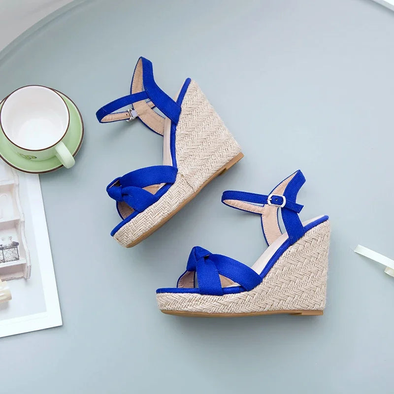 blue-wedge-heel-espadrilles-pair-side